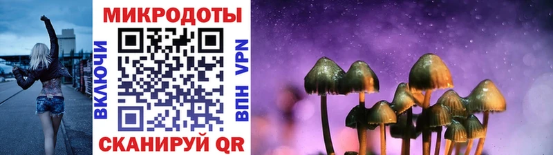 Галлюциногенные грибы Psilocybine cubensis  где купить наркоту  Новошахтинск 