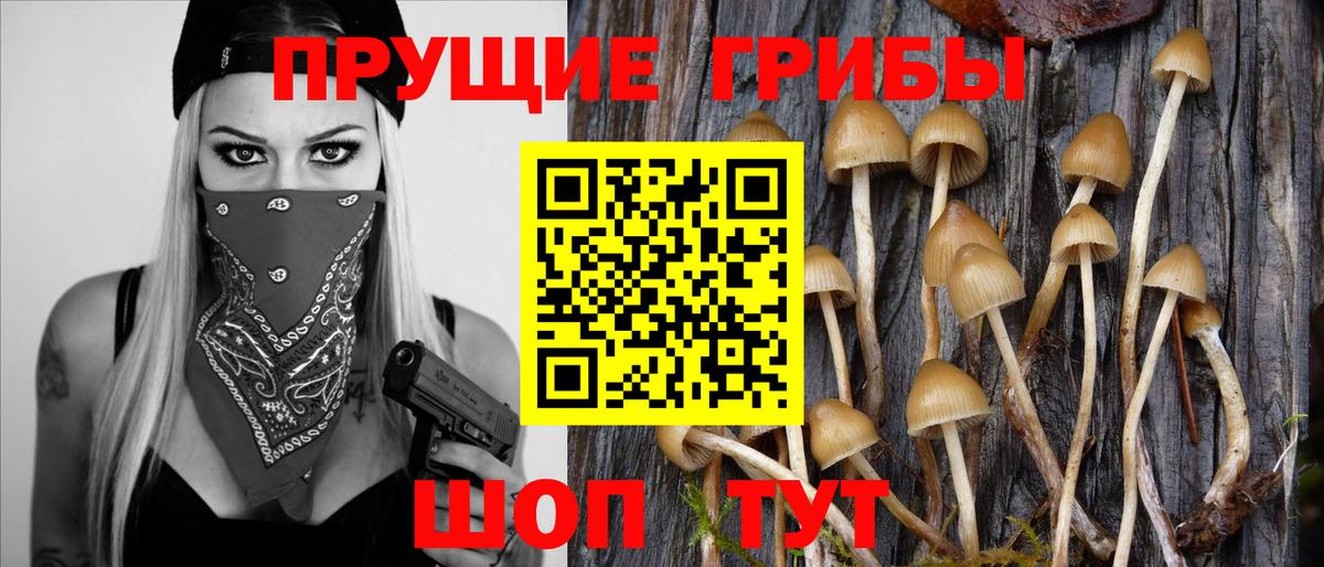 Новошахтинск  Псилоцибиновые грибы прущие грибы  Вход с VPN 