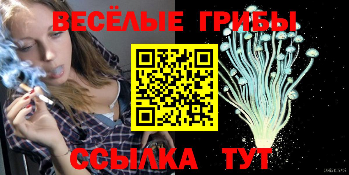 Псилоцибиновые грибы Psilocybe  Новошахтинск 