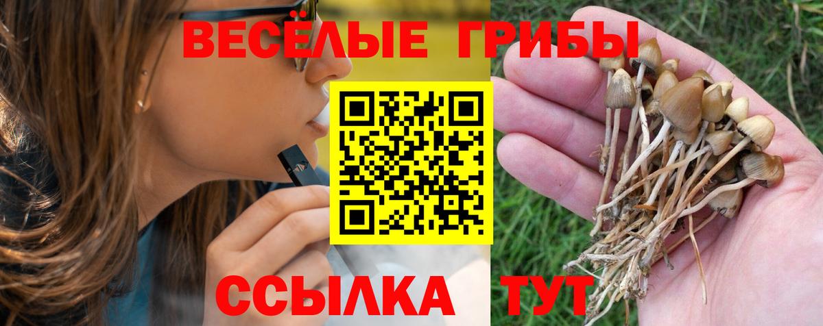 Галлюциногенные грибы ЛСД Новошахтинск