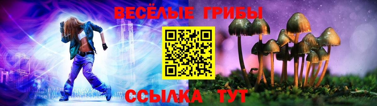 ГАШ Новошахтинск